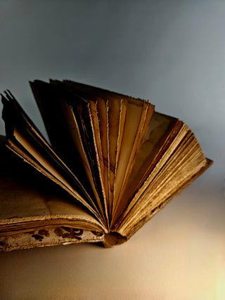"Ofne Cornuta" Notebook/Journal