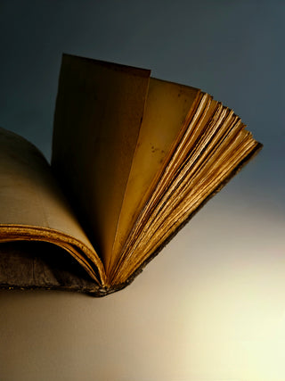 "Tacuinum" Notebook/Journal