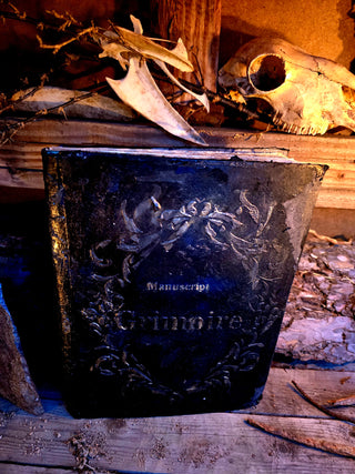 "Golden Shadow" Grimoire/Manuscript