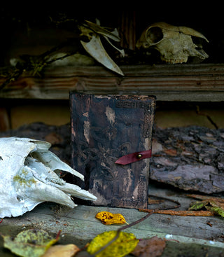 "Jordrunor – Memory of the Shadow" Notebook/Journal