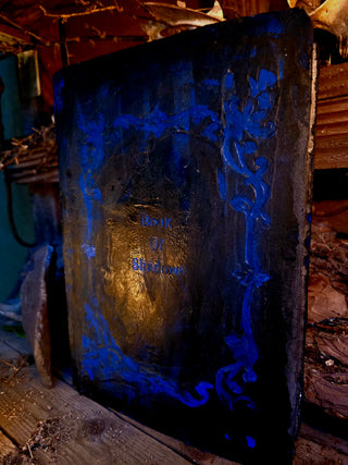 "Lunaris" Grimoire/Book of shadows
