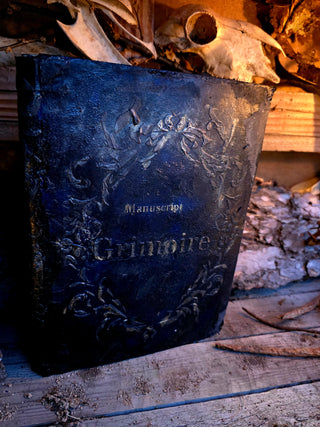 "Golden Shadow" Grimoire/Manuscript
