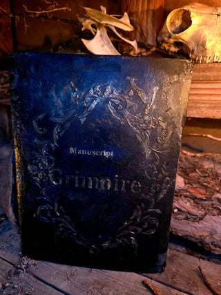 "Golden Shadow" Grimoire/Manuscript