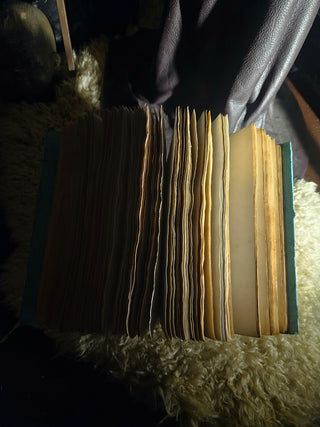 "Lacrimae Lunae" Notebook/Journal/Diary