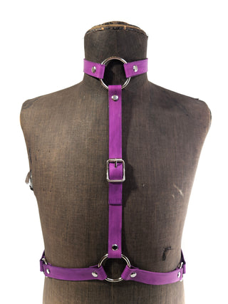 "Purple" Harness