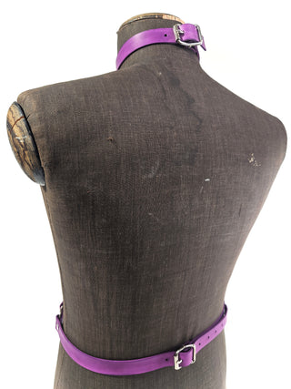 "Purple" Harness