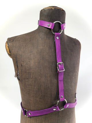 "Purple" Harness