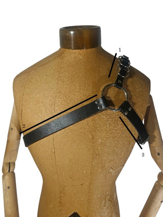 "Weight Circle" Harness