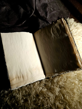 "Verba Arcana" Notebook