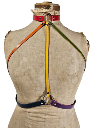 "Prism" Harness