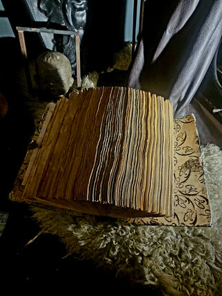 "Aspidem" Grimoire/Book of Shadows/Manuscript