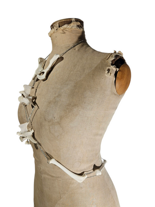"Velthra" Harness