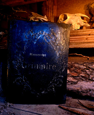 "Golden Shadow" Grimoire/Manuscript