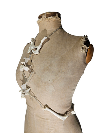 "Velthra" Harness