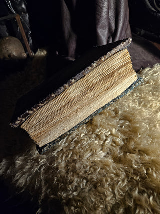 "Verba Cordis" Diary/Journal