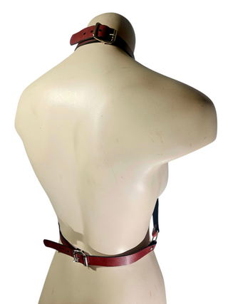 "Catena Rubra" Harness