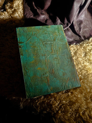 "Lacrimae Lunae" Notebook/Journal/Diary