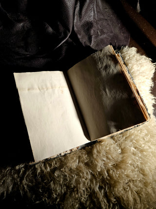 "Aun Weor" Notebook/Journal