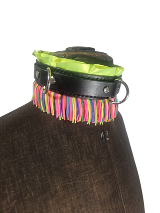 "Irides" Vadderat halsband