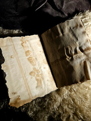 "Verba Arcana" Notebook