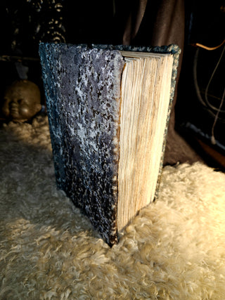 "Verba Cordis" Diary/Journal