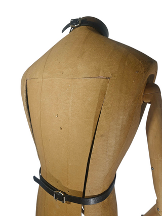 "Silver Ring" Harness
